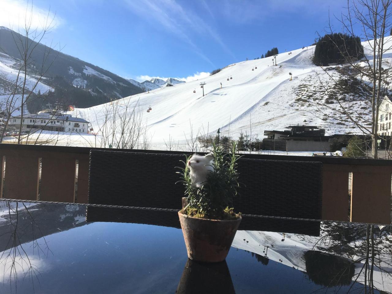 Am Zwoelferkogel Appartements Зальбах-Хинтерглемм Экстерьер фото